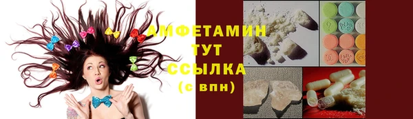 дмт Карпинск