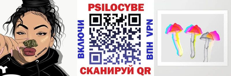 Купить  Воскресенск  Галлюциногенные грибы GOLDEN TEACHER 